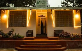 Pine Tree Lodge